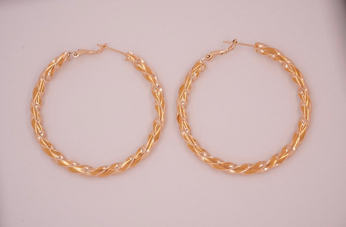 Gold Laminated Earrings