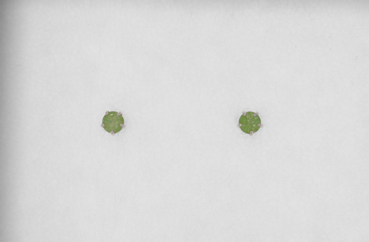 Small Silver Earring
